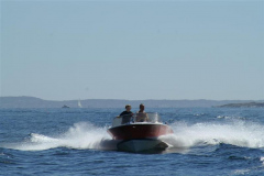 Seal03